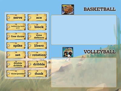 Volleyball, basketball_groups