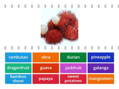 P5 Thai Fruit and Vegetables