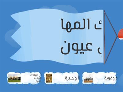 معلومات عن المها العربي 