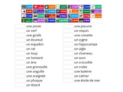 FR Animals 2 - Des Animaux (from interactive website: https://www.digitaldialects.com/French/animals2.htm)