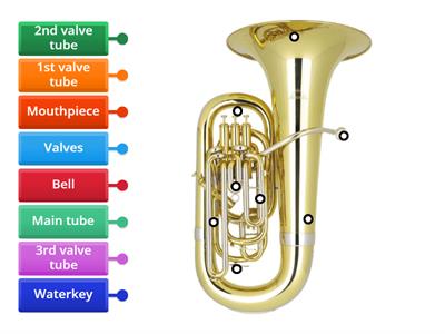 Baritone/Tuba Anatomy