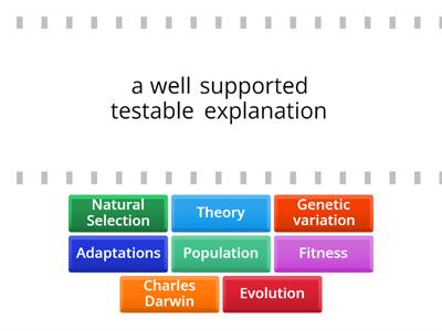 Evolution Key Vocabulary