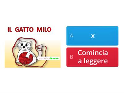 Il Gatto Milo (InclusivaMente di Antonietta Loia)