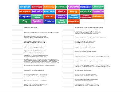 Quarter 4 Vocabulary Word Wall Games