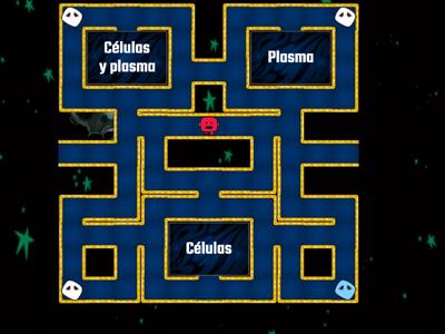 Pac Man Sistema circulatorio