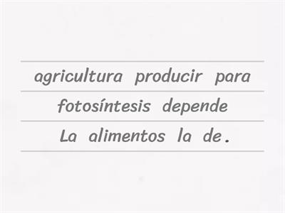 Frases sobre la FOTOSÍNTESIS 