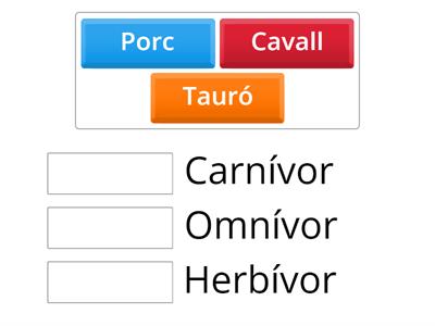 Classifica els animals segons el que mengen