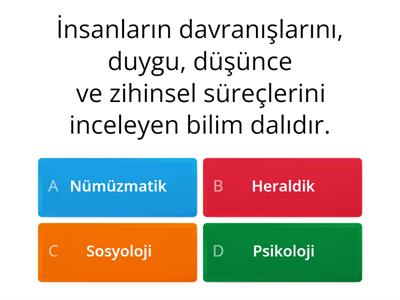 Sosyalin Alt Dalları