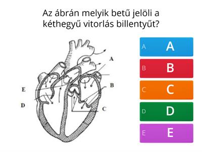 Az emberi szív