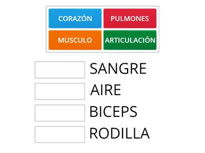 Relacionar partes del cuerpo 