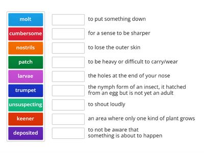 HMH G3 Vocabulary review 