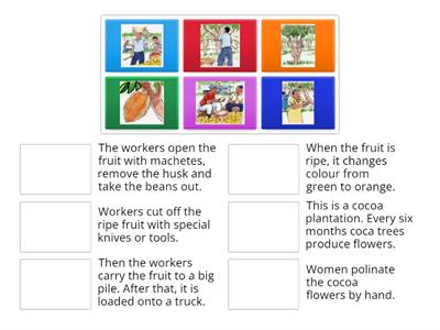 New World 2 - Unit 3 - Chocolate - Part 1