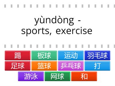 Y5 T3 Core Sports