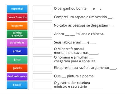 Atividade De Concordancia Nominal - Recursos De Ensino