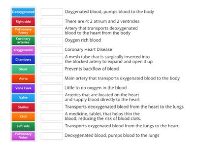 Heart Information