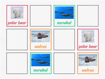 Arctic Animals Matching Game