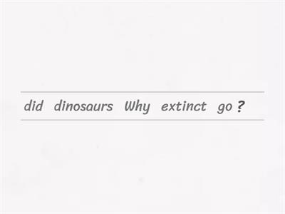 Dino Questions