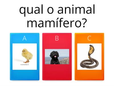 Animais mamíferos