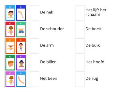 Luisteren Woordenschat het Lichaam 1