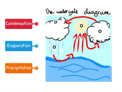 the water cycle 