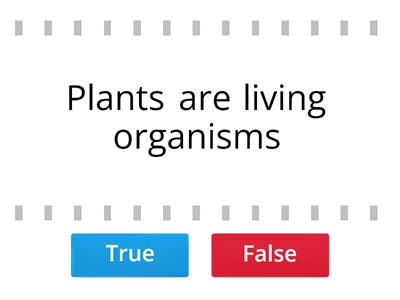 PLANT KINGDOM-CHECKING UNDERSTANDING