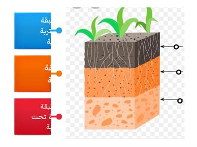 طبقات التربة  علوم الصف الثالث