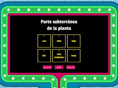 Partes de las plantas