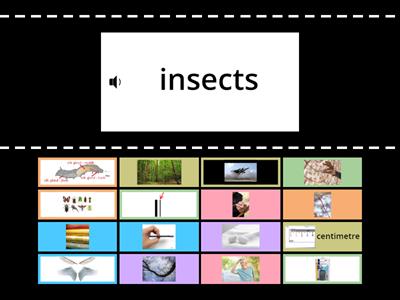 Insects, slugs and bugs - vocab, spelling (DRA decodable Level 4 NF2) pp. 2-4