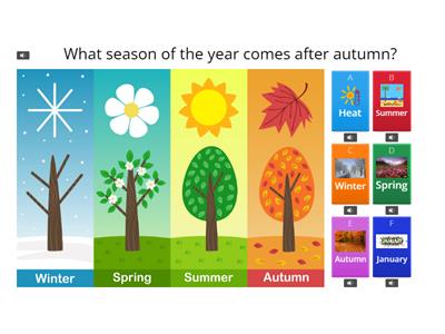 Seasons