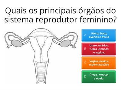 Reprodução humana e puberdade 