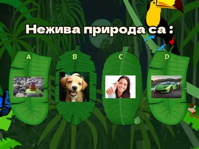  ЧОВЕКЪТ И ПРИРОДАТА   Годишен преговор  3 клас