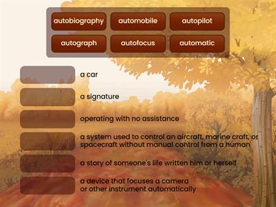 AUTO:  Vocabulary Match-up