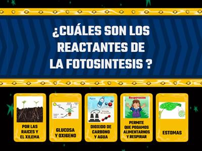 REACTANTES Y PRODUCTOS DE LA FOTOSINTESIS 