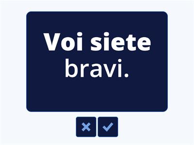 Trasforma le frasi dal plurale al singolare e viceversa, come nell'esempio.