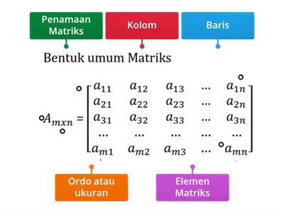 Unsur Matriks