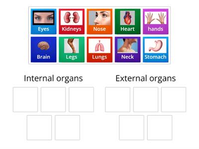 Grade -2 Internal & external organs