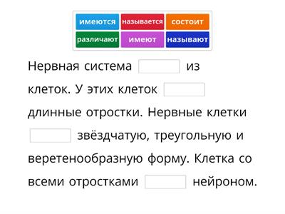 Нервная система (Беляева, ур. 15 № 8)