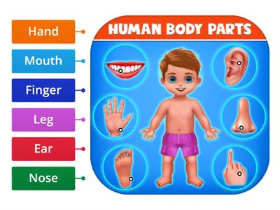Label body parts