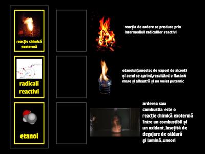 Activitate Interactivă - Reacția de ardere