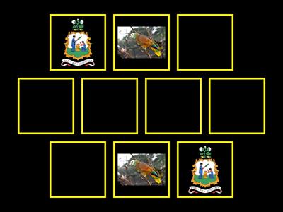 St. Vincent and the Grenadines - National Symbols