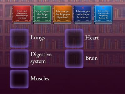 Health : จับคู่หน้าที่อวัยวะ