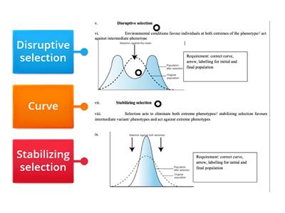  Describe the types of natural selection with the aid of correctly labeled selection curves