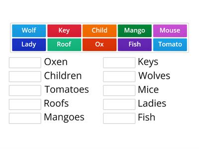 singular noun and plural noun