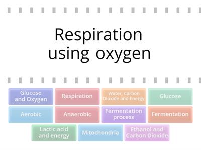 Respiration