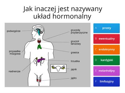 Test ukl hormonalny