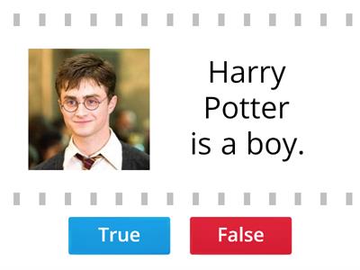 Harry Potter - true or false?