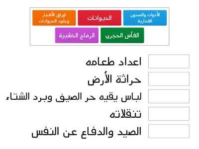 الأدوات التكنولوجية البسيطة التي استخدمها الانسان من منذ القدم