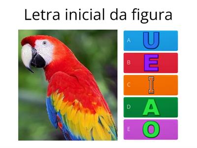 letras Alfabetização