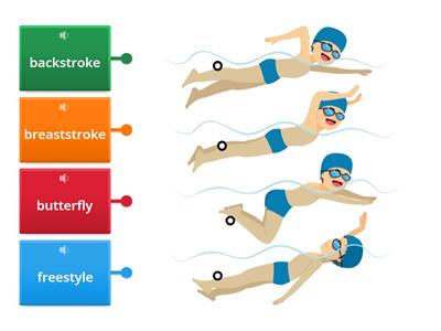 Swimming Styles Vocabulary