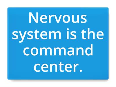 NERVOUS SYSTEM